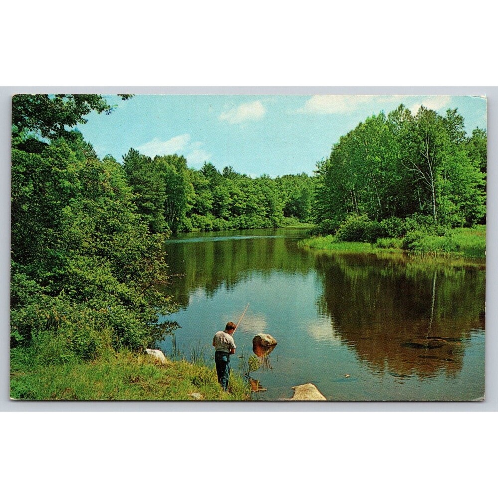Postcard PA Intercourse Fishing Along A Quiet River Garden Spot of America 1960s